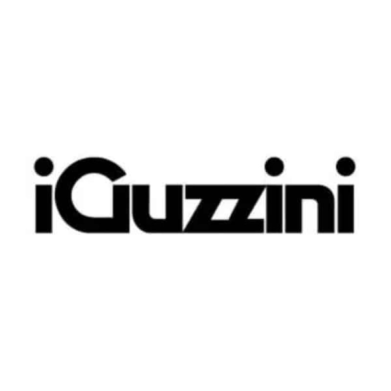 iGuzzini-logo-black-300x94